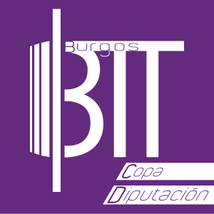 logo copa diputacion